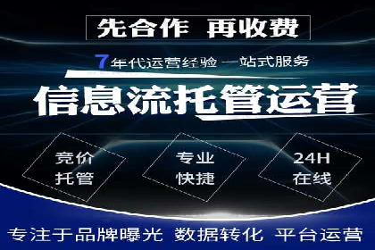 竞价托管服务案例解析